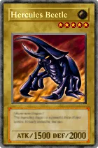 052 - Hercules Beetle