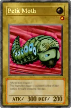 278 - Petit Moth