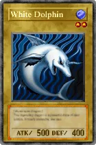 436 - White Dolphin