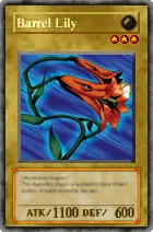 489 - Barrel Lily
