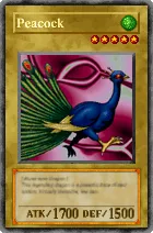 491 - Peacock