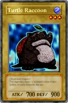 503 - Turtle Raccoon