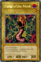 504 - Fungi of the Musk